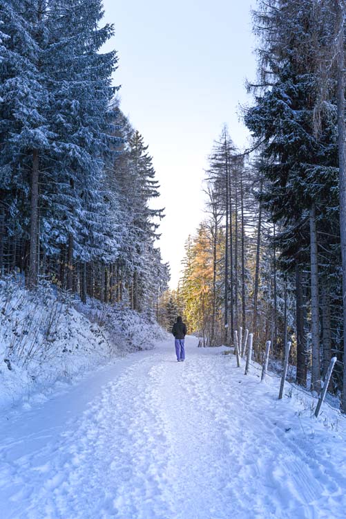 The Open Path